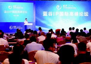 国产精品论坛,聚焦创新，共筑辉煌未来